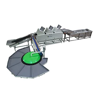 Multi-functional fruit washing and grading machine