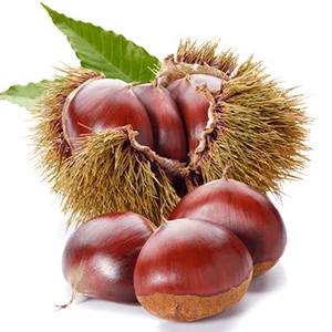 Big capacity chestnuts grading machine