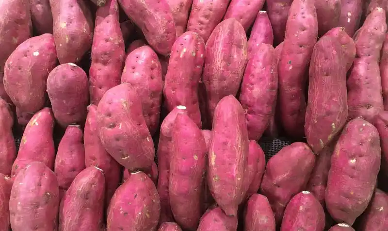 How to use efficient grading technology to make sweet potatoes win a higher market price