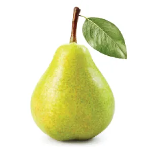 Fstsort Introduces Advanced Weight Grading Technology to Ukrainian Pear Industry