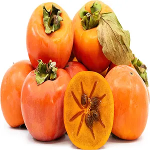 Persimmon Season: How Smart Sorters Are Boosting Harvest Value