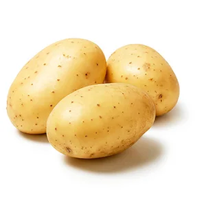 Large-capacity potato grading machine