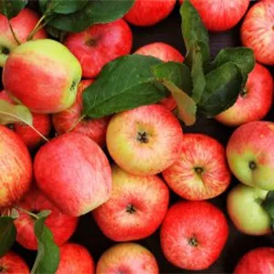 La máquina clasificadora óptica de manzana