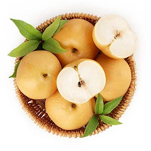 Fruit exports in the southern hemisphere