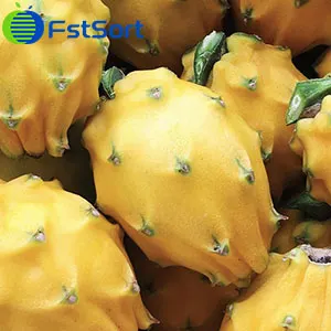 La pitahaya amarilla súper dulce de Ecuador