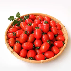 The Essential Truth of Cherry Tomatoes Sorting Grading Classifier