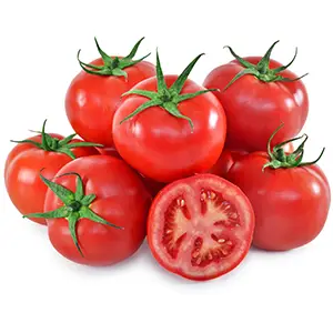 FstSort‘s Custom Grading Solution for a Turkish Tomato Producer