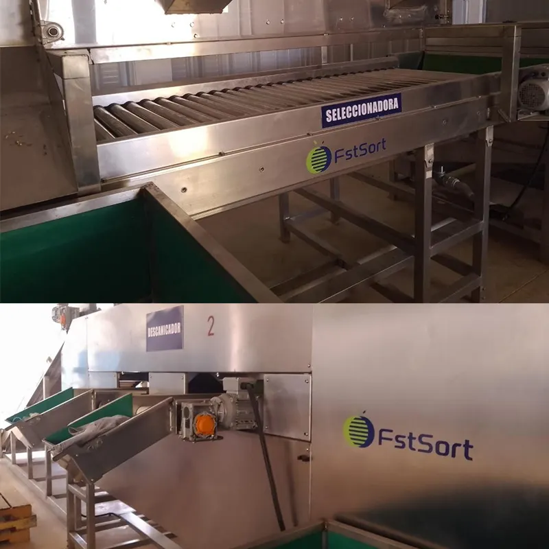 Buenos comentarios de los clientes de limón mexicano