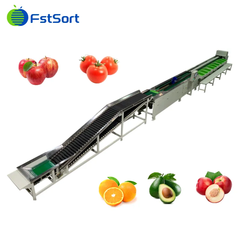 Kiwi Electronic Weight Sorting Machine