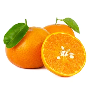 Hot selling Tangerine Cleaning Sorting Machine