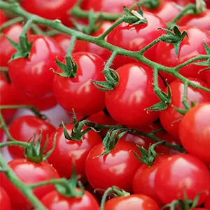 How do you sort cherry tomatoes