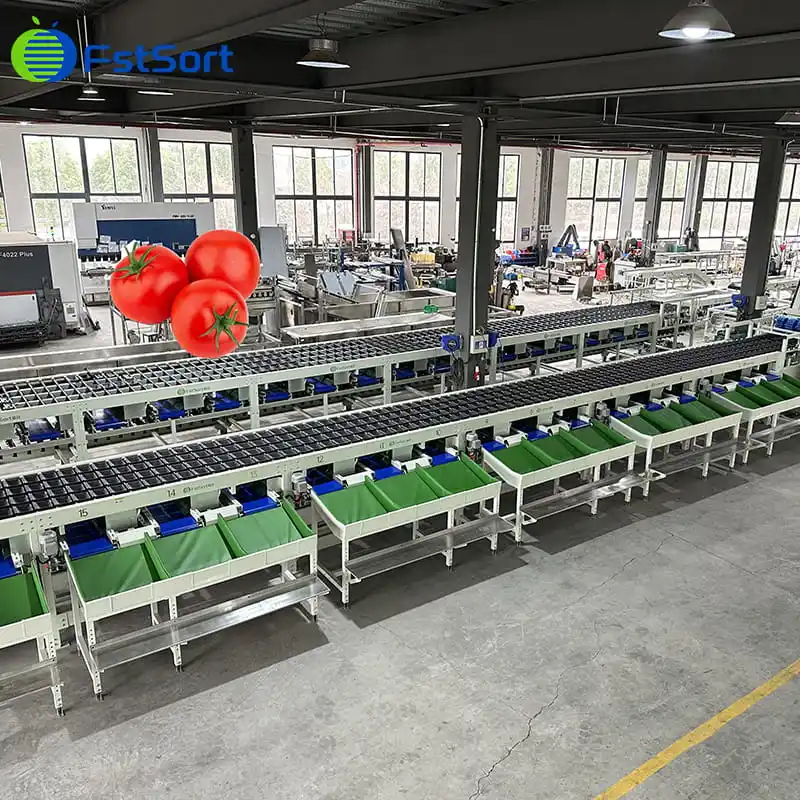 Four-channel Sorting Machine