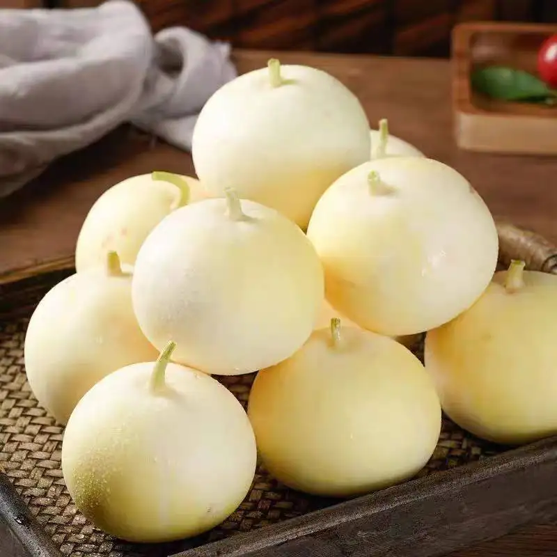 China Gansu melons are exported to Singapore