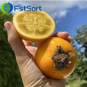 Lulo- One of Colombia's exotic fruits