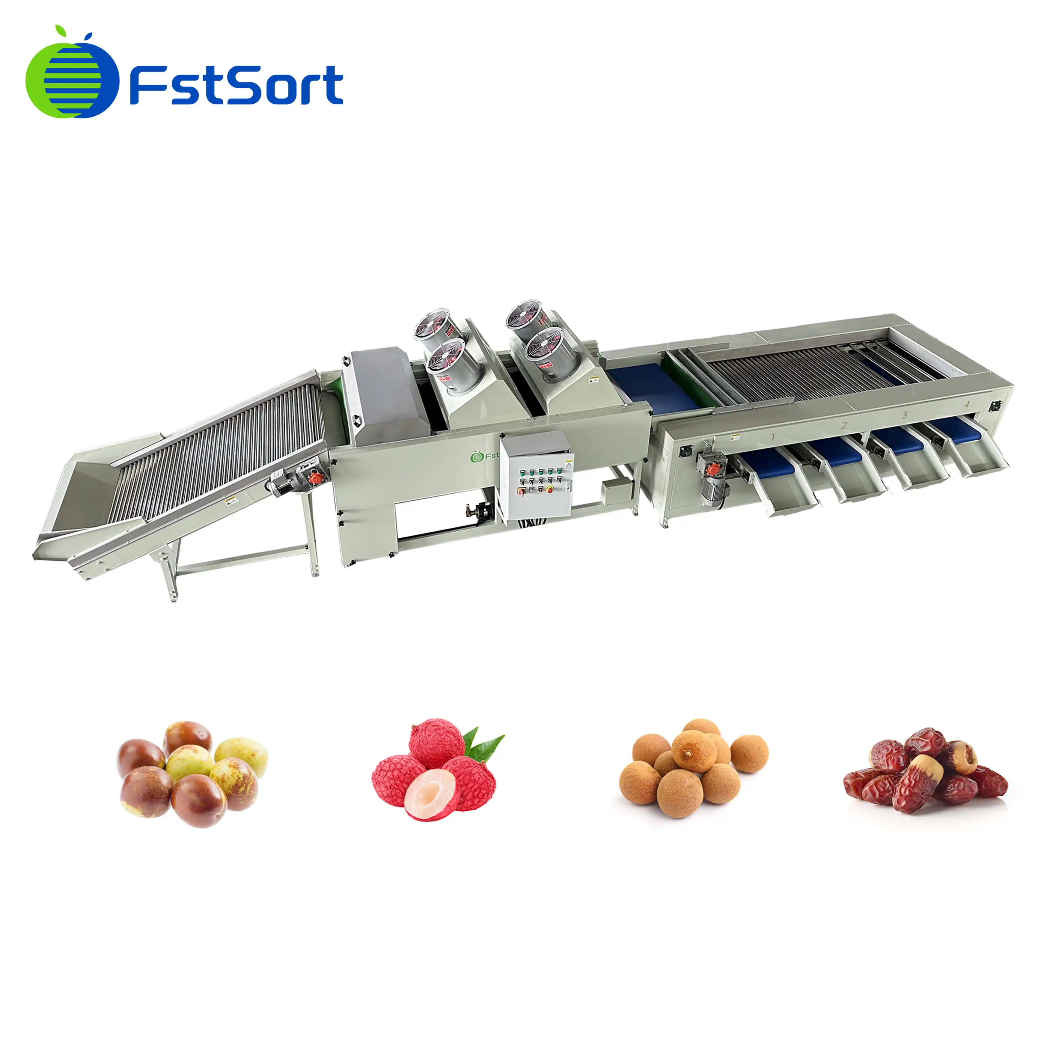 Date Size Grader Designed for Oman Customer