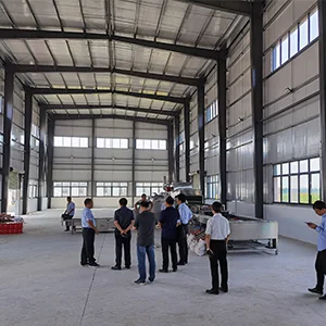 Sweet potato packing equipment