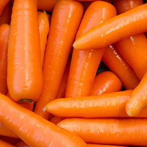 Efficient and Precise Carrot Washing Sorting Machine