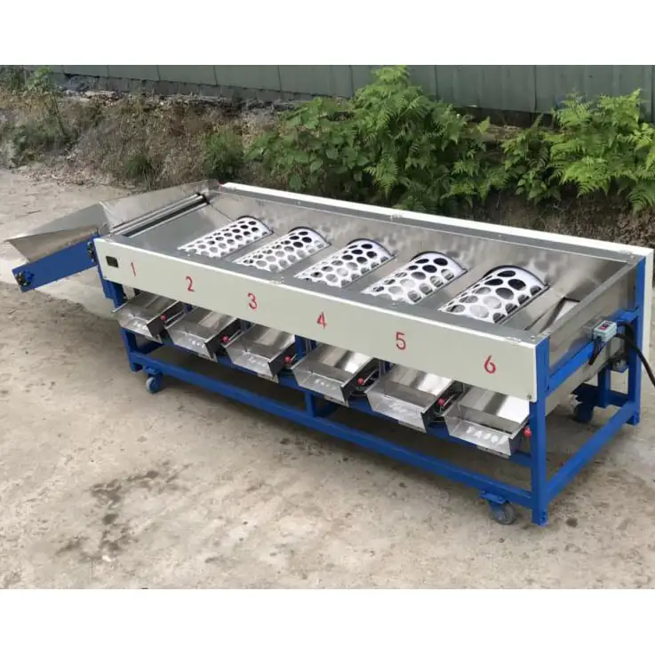 Citrus grading machine