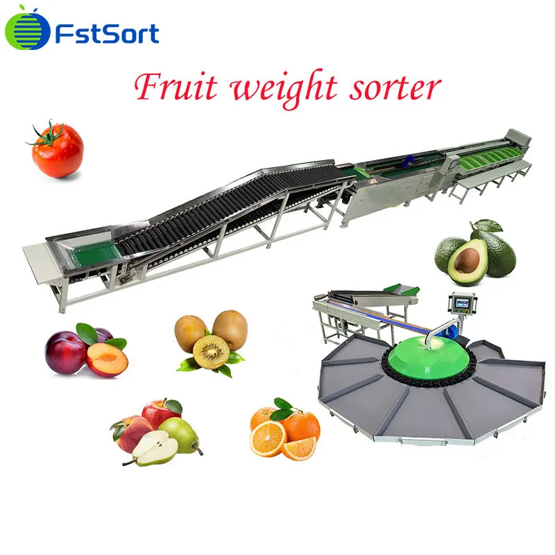 Citrus sorting equipment by weight is popular in Peru