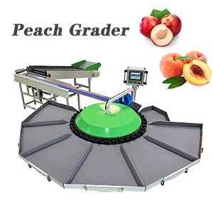 Grading system for peaches and Nectarines