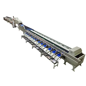 New Type Fruits Washing Drying Electronic Weight Grading Line