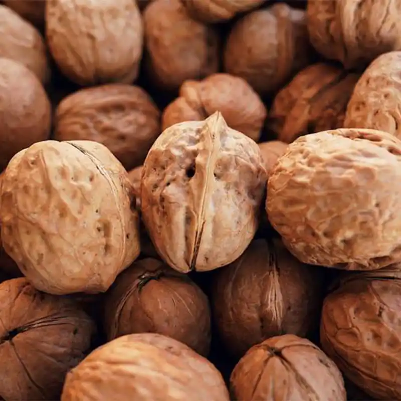 California walnut industry production forecast is down 19 percent