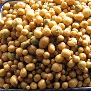 2 Significant Benefits of Using a Seed Counter for Farmers