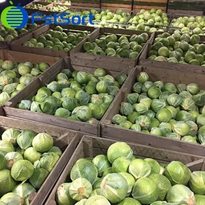 For my brussels sprout project I need a new grader