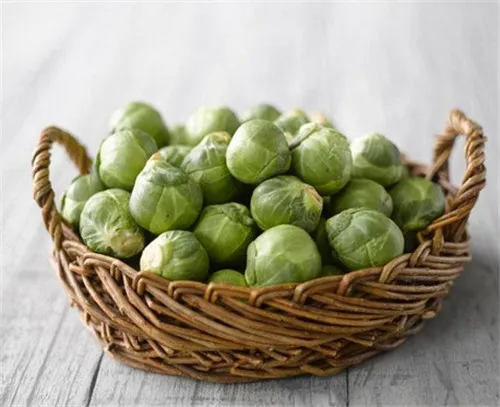 Brussels Sprouts Sorting Machine
