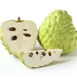 Custard Apple washing drying waxing grading machine