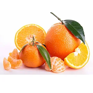 Use case of citrus automation professional production sorting line