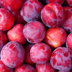 How to quickly sort fresh plums by weight