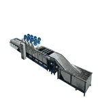 Dates washing drying grading line