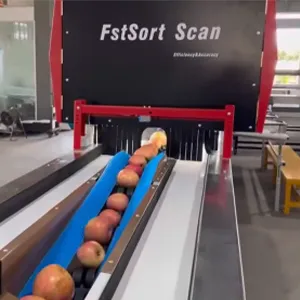 Australian Apples Enter China Next May: Seize the Opportunity with FstSort, Your Essential Partner for Success.