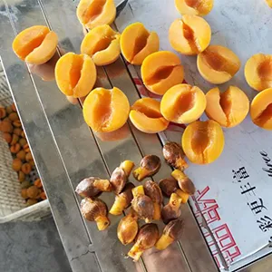 Introducing the Advanced Cherry Pitter: Precision Core Removal for Stone Fruits