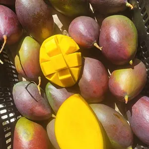 A New Course Connects China with Brazil