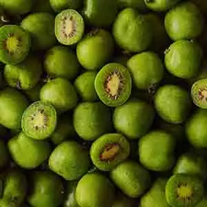 Fresh New Zealand kiwi berries to be sold in Chinese supermarkets