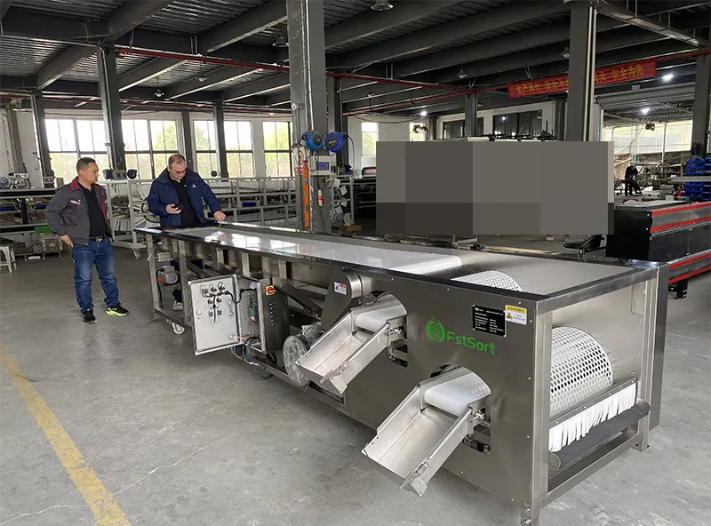 FstSort's third blueberry sorting machine was successfully delivered to a Colombian customer