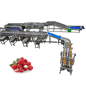 The automatic litchi sorting and packing line is ready