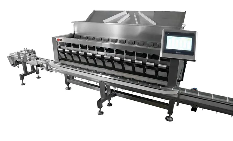 Blueberry Packing Machine