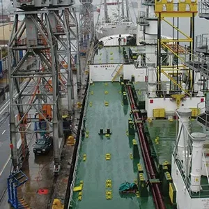 Citrus production in South Africa is expected to set a new record this season