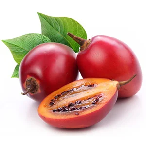 Under What Circumstances Need To Use Tree Tomato Grader