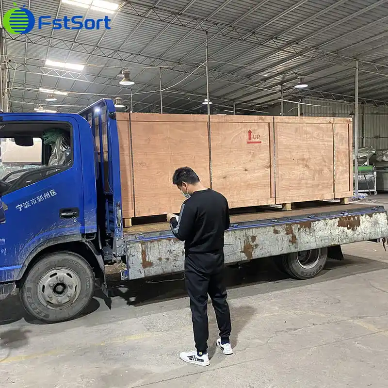 Blueberry grader shipped to South Africa