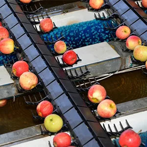 South Africa's apple exports to China doubled