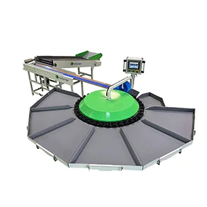 Cost-effective Circular Multi-Weight Sorting Machine