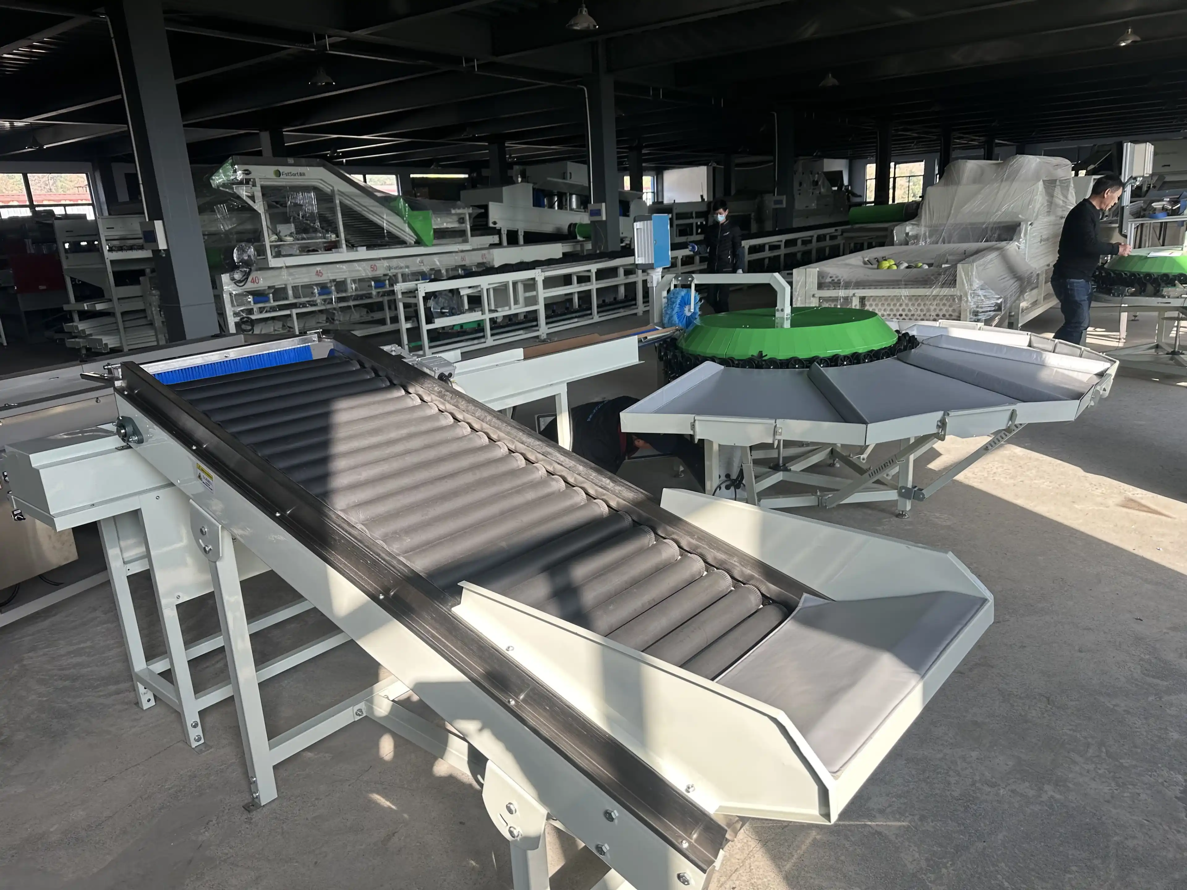 Fstsort Fruit Sorting Machine for North Macedonia Customer