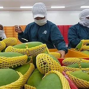 China remains the biggest buyer of Fruits and vegetables from Vietnam