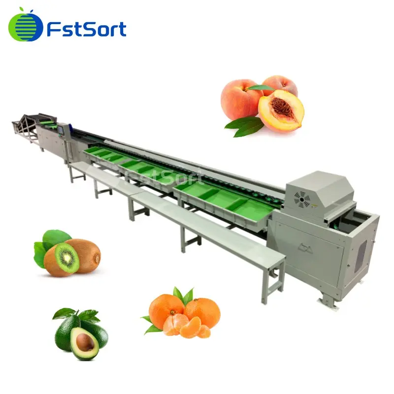 Electronic weighing and grading machine