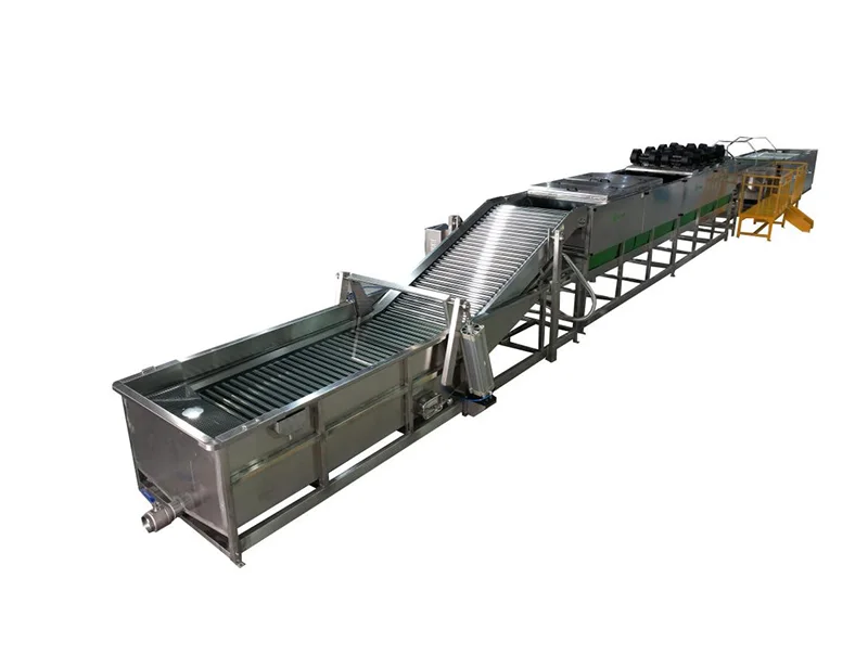 Desarrollo de la industria de la batata en América del Norte