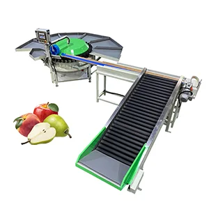What are the advantages of rotary fruit weight graders
